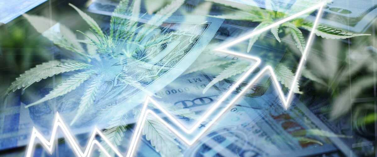 Cannabis Market Growth: How Cannabis Industry Statistics Show There’s Never Been a Better Time to Open a Dispensary